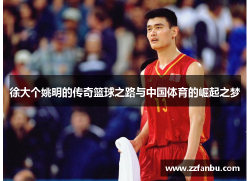 徐大个姚明的传奇篮球之路与中国体育的崛起之梦